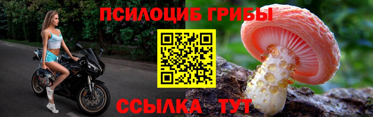 Псилоцибиновые грибы прущие грибы Добрянка